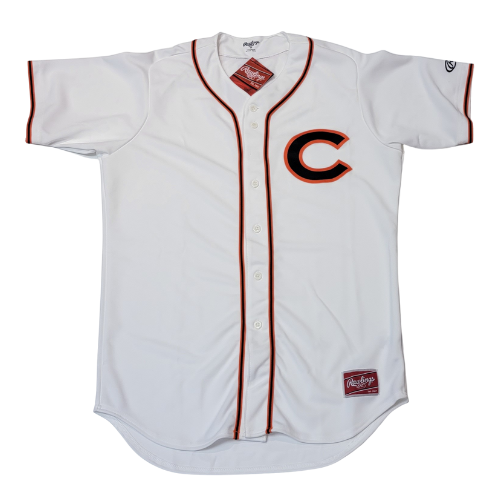 Men's Majestic Gray San Francisco Giants Road Official Team Jersey